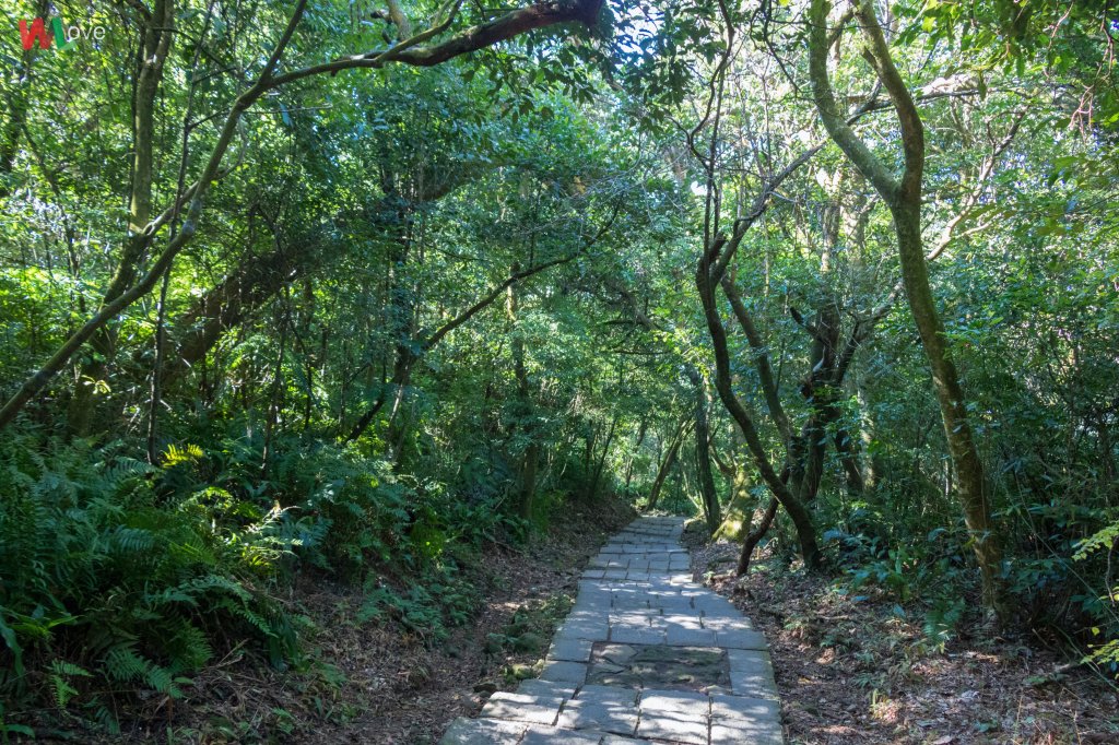 WL 愛旅行【凱達格蘭山】_501089