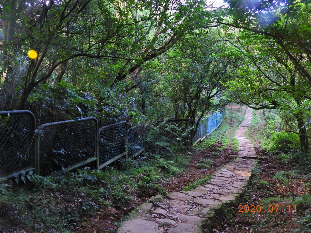 臺北 士林 磺嘴山_1029106