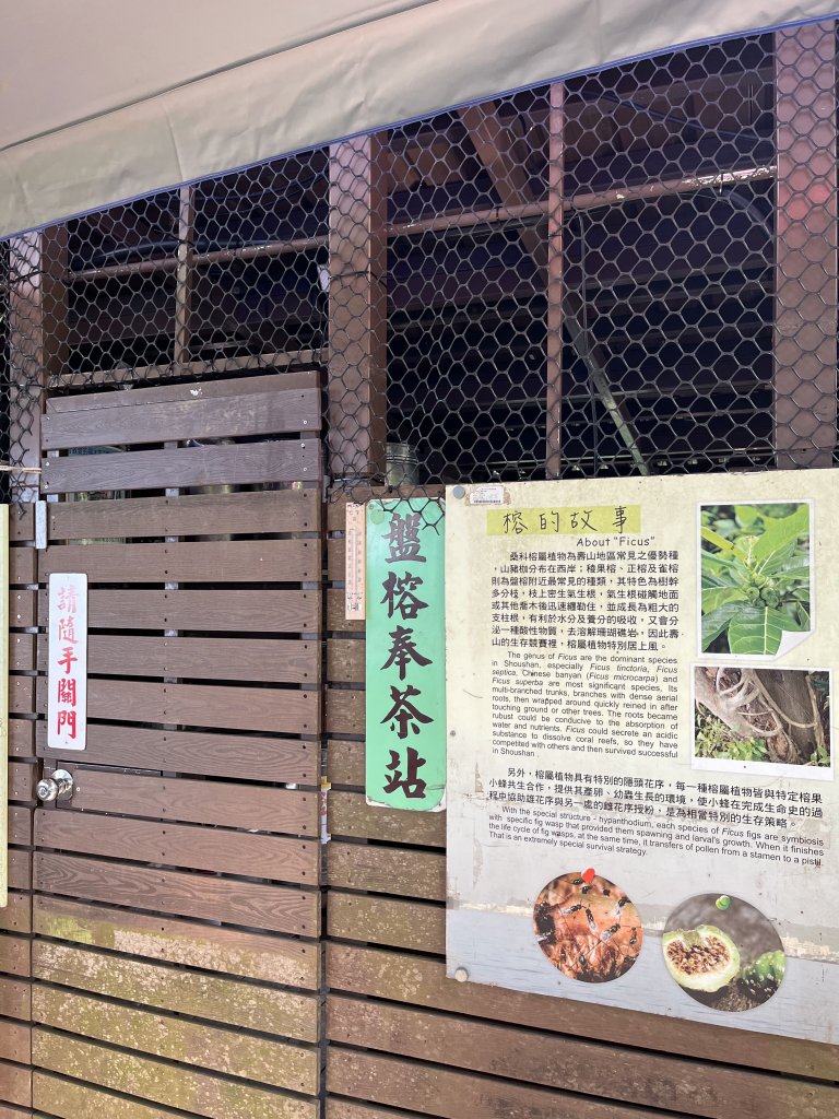 高雄壽山輕鬆路線推薦～全家都能爬 feat.全家都適用的海樂緹能量護膝_1517116