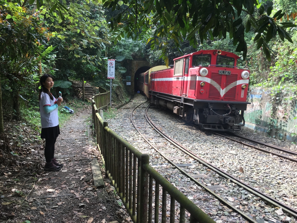 與森林小火車相依的獨立山步道_74497