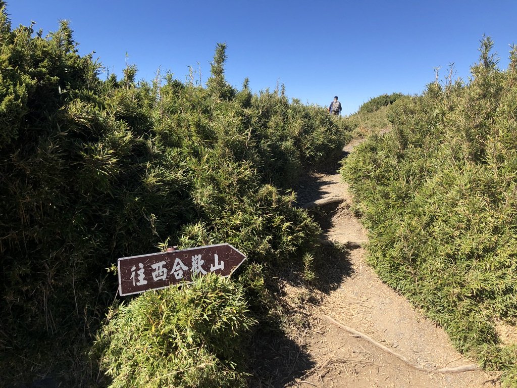 合歡山西北峰_704776