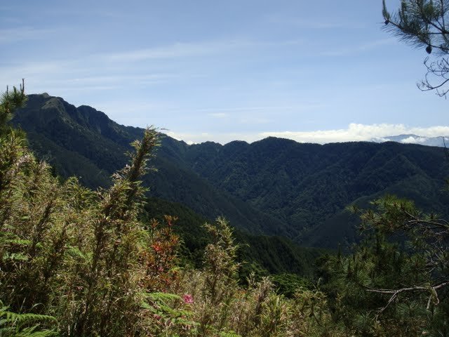 雪山主東峰_1025923