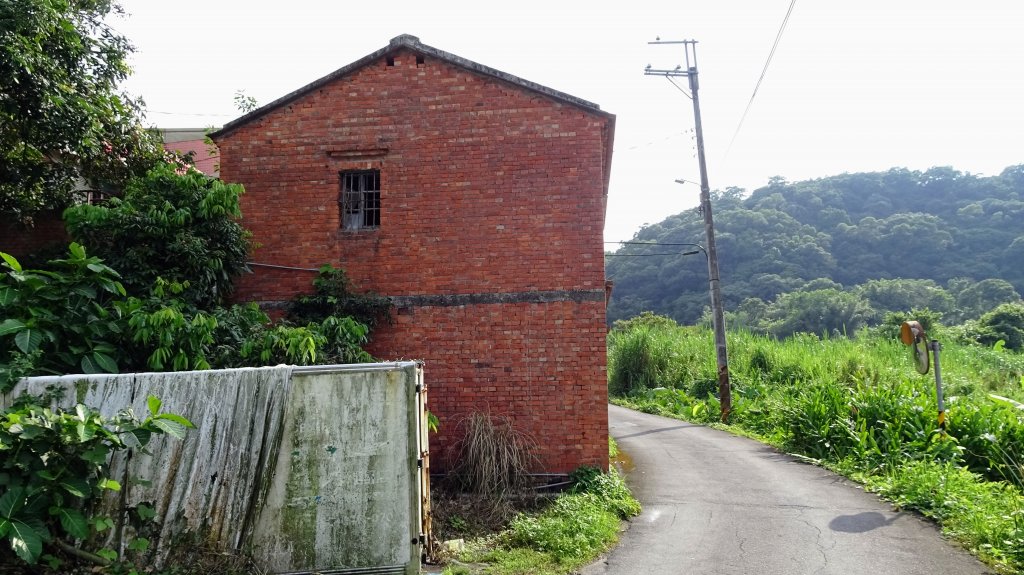 頂福巖森林步道(林口森林步道)_2283341