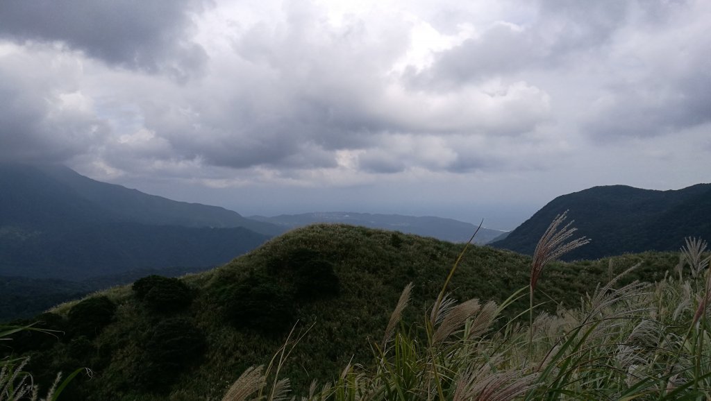 魚路古道北段_420992