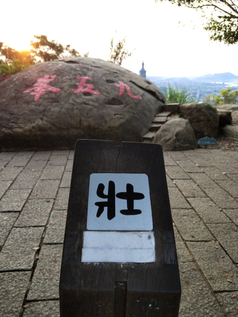 南港山縱走親山步道(拇指山、南港山、象山、九五峰)_1820260