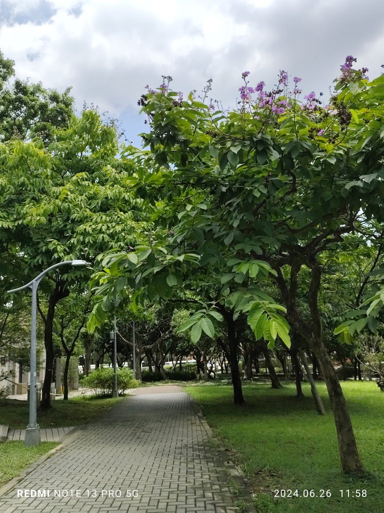 大安森林公園【走路趣尋寶】【臺北健走趣】_2536146