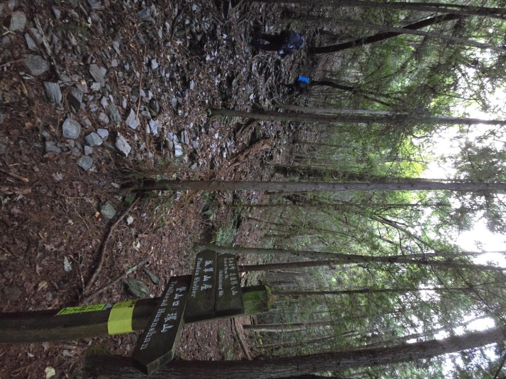 20240927 志雪劍_2614861