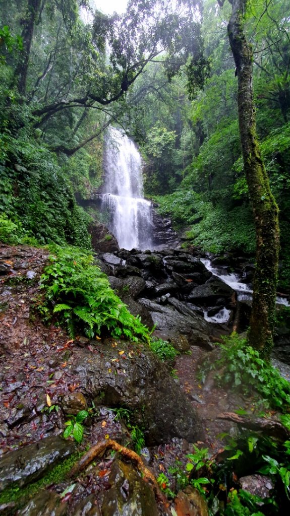 三峽雲森瀑布，竹崙山，水車寮林道，十七寮山，桃園虎頭山環保公園，虎嶺迎風步道，忠烈祠步道_1725285