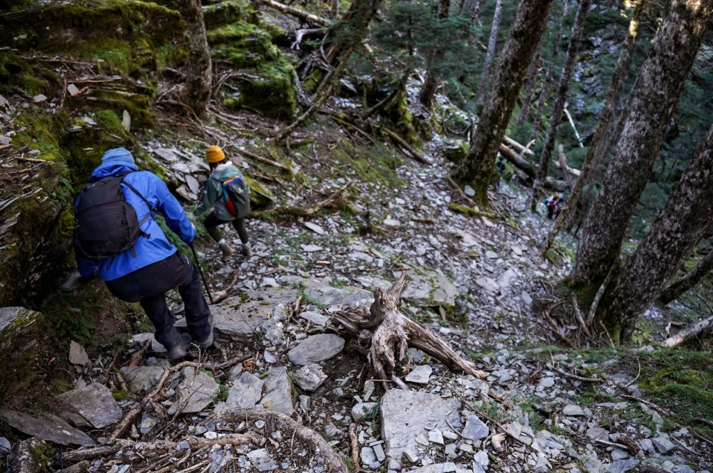 帝王之座-南湖主峰線｜南湖大山＋南湖南峰＋巴巴山_2884952