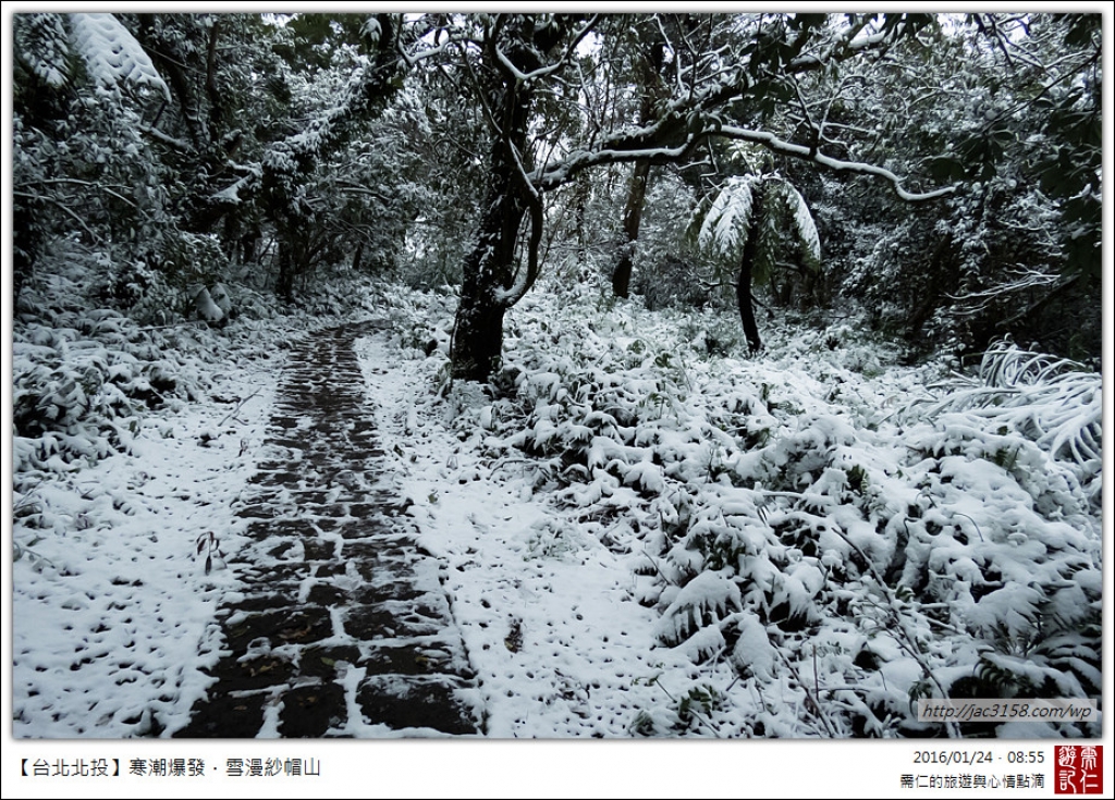 20160124寒潮爆發．雪漫紗帽山_28889