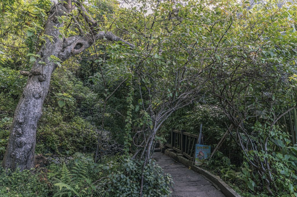 觀音山(北橫古道)封面圖