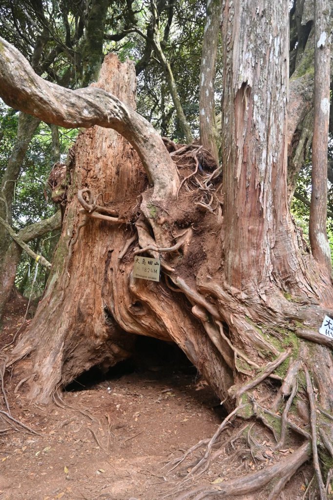 中級山-高島縱走_2888351