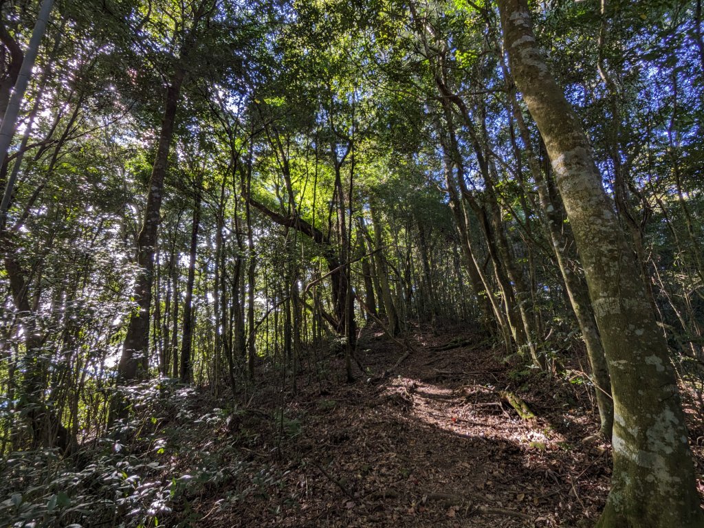 石壁山嘉南雲峰_2400230