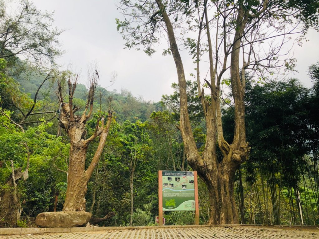 1090313萬年峽谷_879084