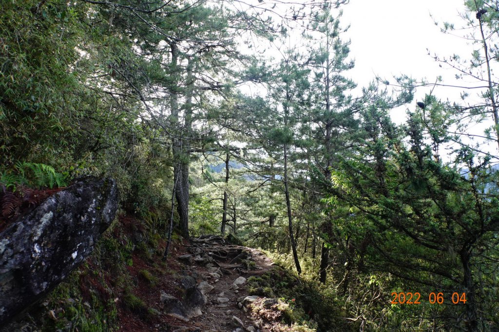 嘉義 阿里山 玉山前峰_1731110