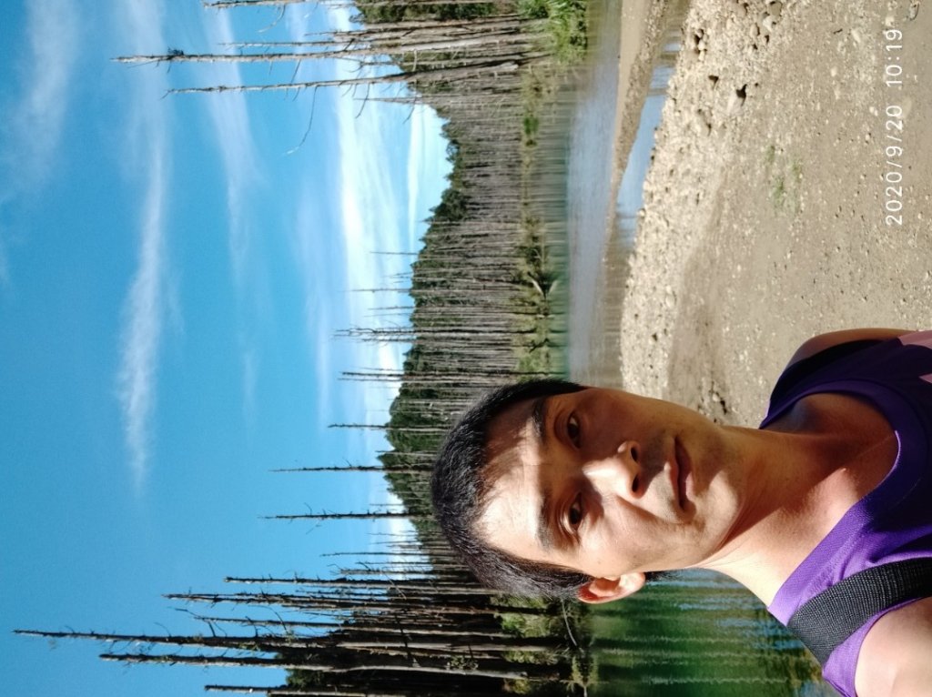 眠月神木、郡大神木群_1106821