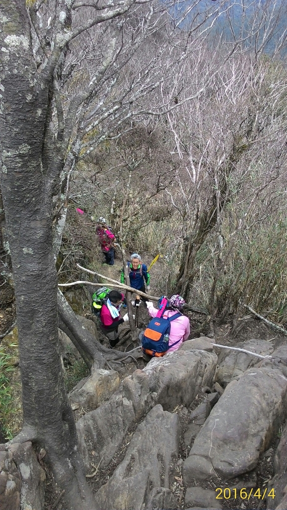 20160404苗栗加里山(二坪山入口)_34230