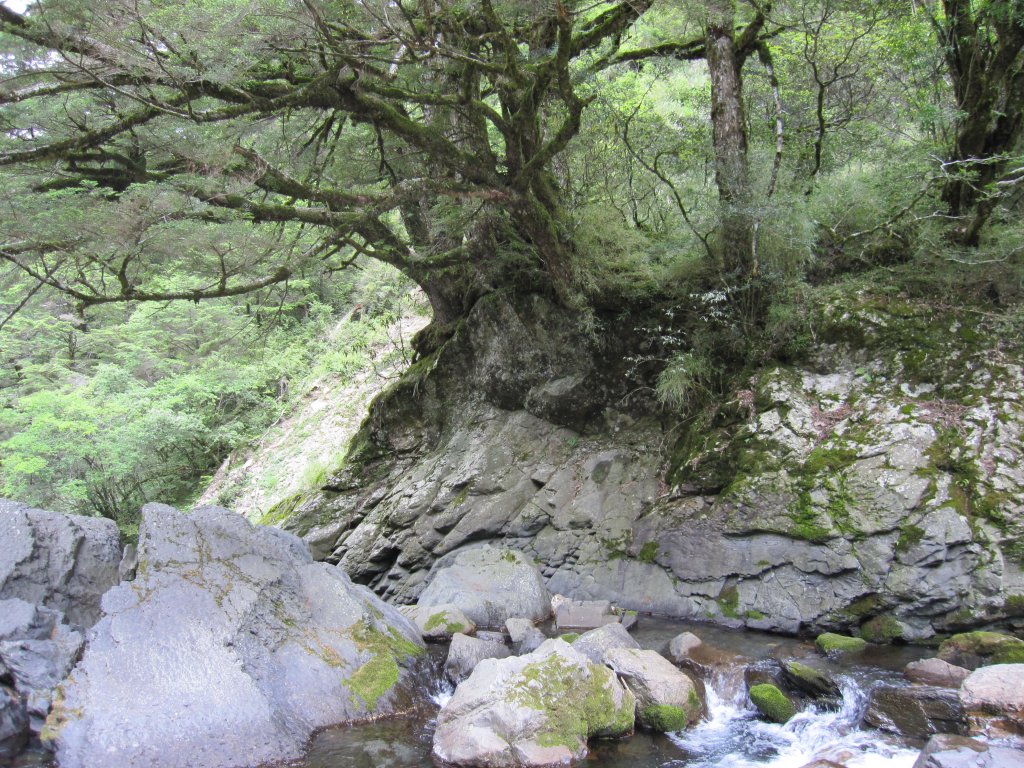 處處都是美景的合歡溪步道_1026157