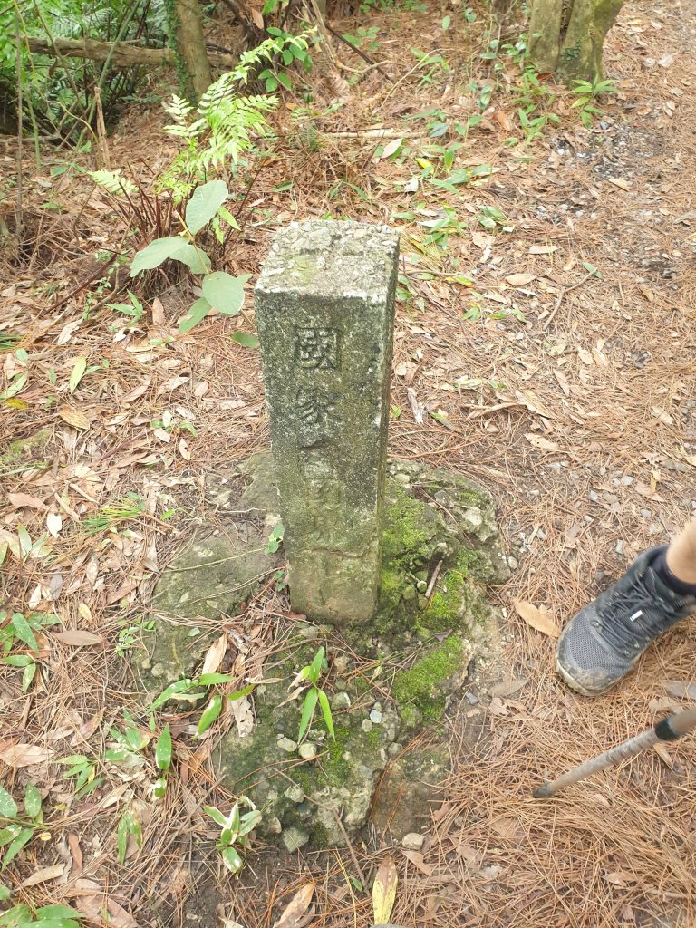 臺北大縱走第四段_1515994