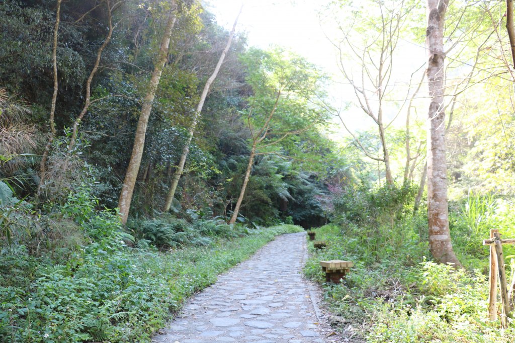 【南投。埔里】娟秀的銀白流瀑。 觀音瀑布_872421