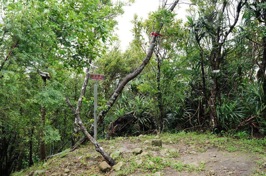 新北 瑞芳 頂子寮山、五分山_2615526