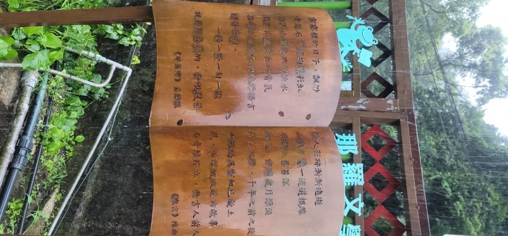 2022森遊竹縣 皮皮獅同樂會 下大雨的新竹青蛙石步道 20220703_1752879