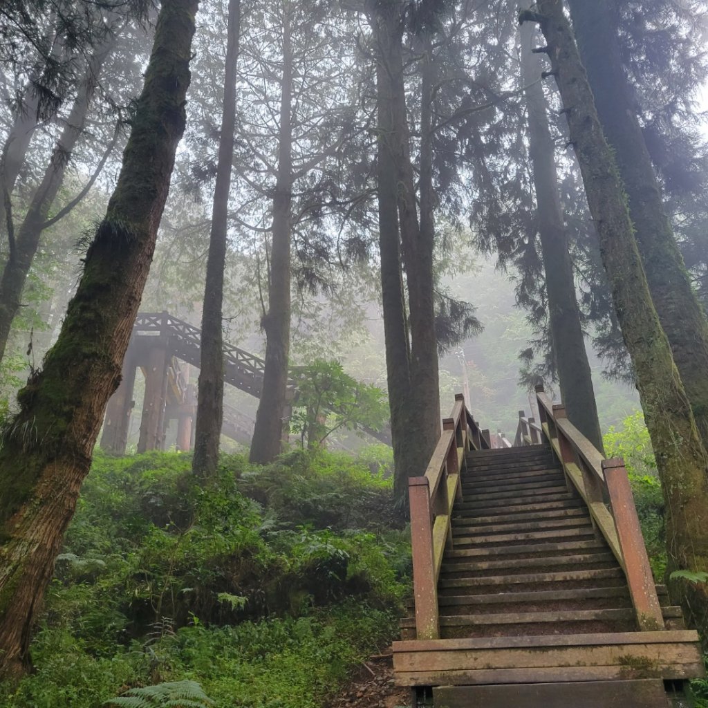 塔山步道(小百岳)_2123290