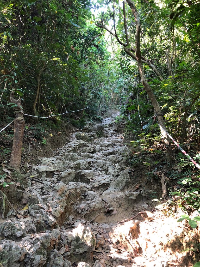 2021.11.14柴山_1517155