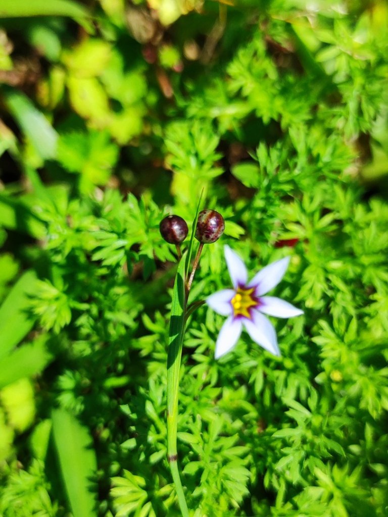 淡蘭北2+1逆走二刷_2772780