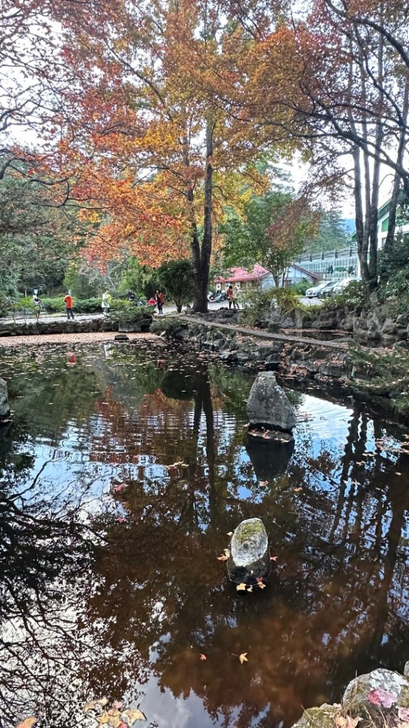 馬武霸下武陵_2962397