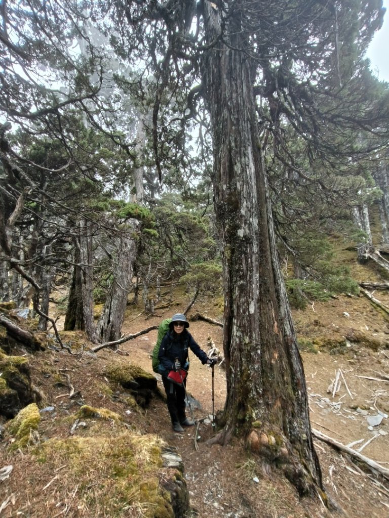 20240318 馬博8天縱走~第三天，秀姑巒山_2469882