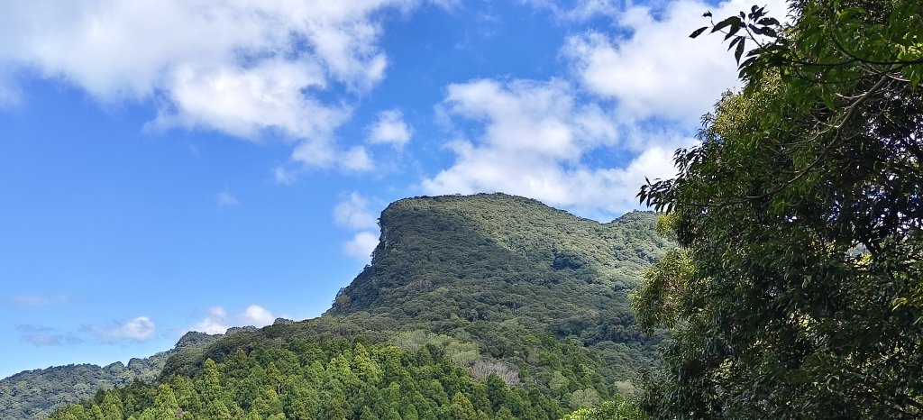 2025/10/10-水田林道上外鳥嘴山封面圖