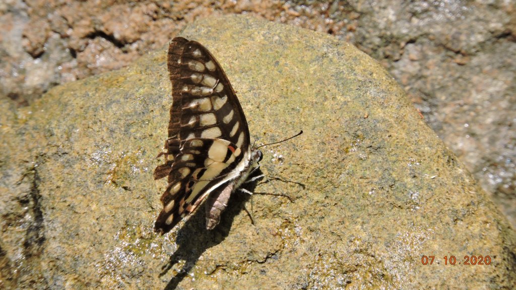 就是喜歡這個藍天白雲的FU_1028351