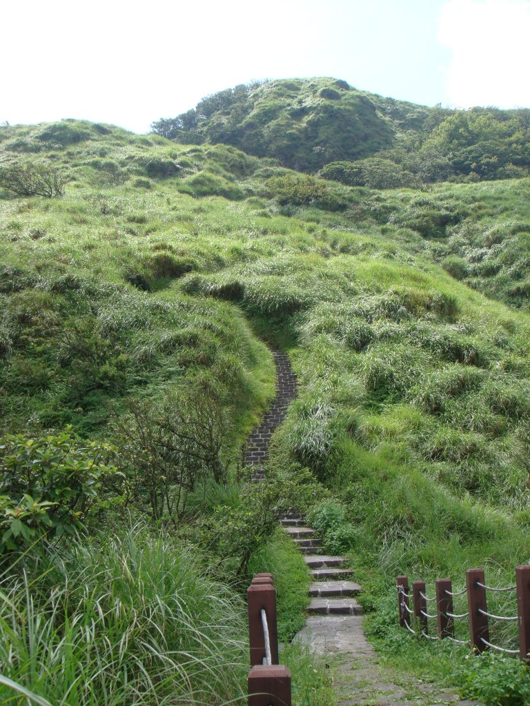 七星山主峰_1783307