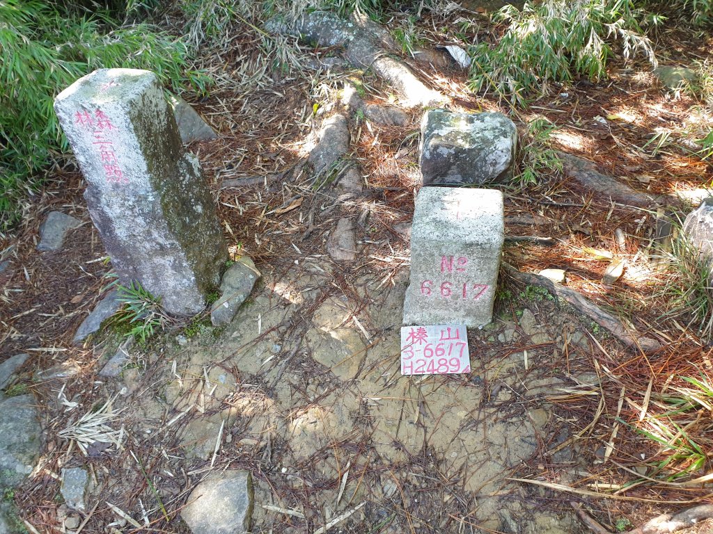 榛山登山步道與榛山_1562043