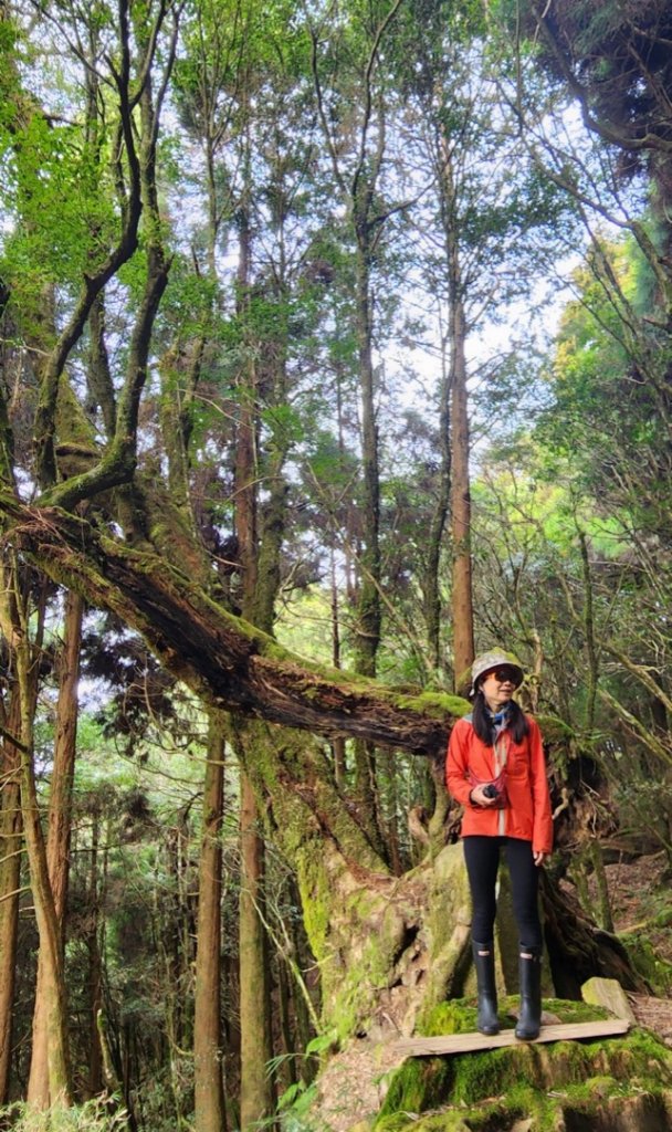 探訪消失的白雪村+北霞山東水兒玉山O型縱走_1991230