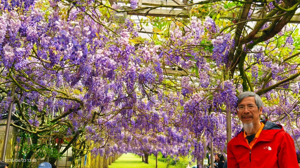 追花是簡單的快樂，賞花是恬淡的幸褔 4/3封面圖