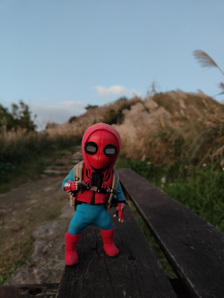 2023.11.28 基隆山_2548005