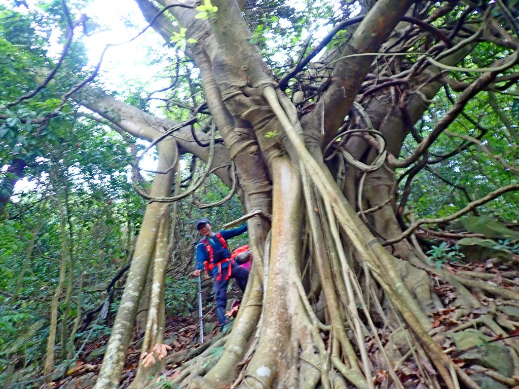 旗月縱走 2019/3/24_551759