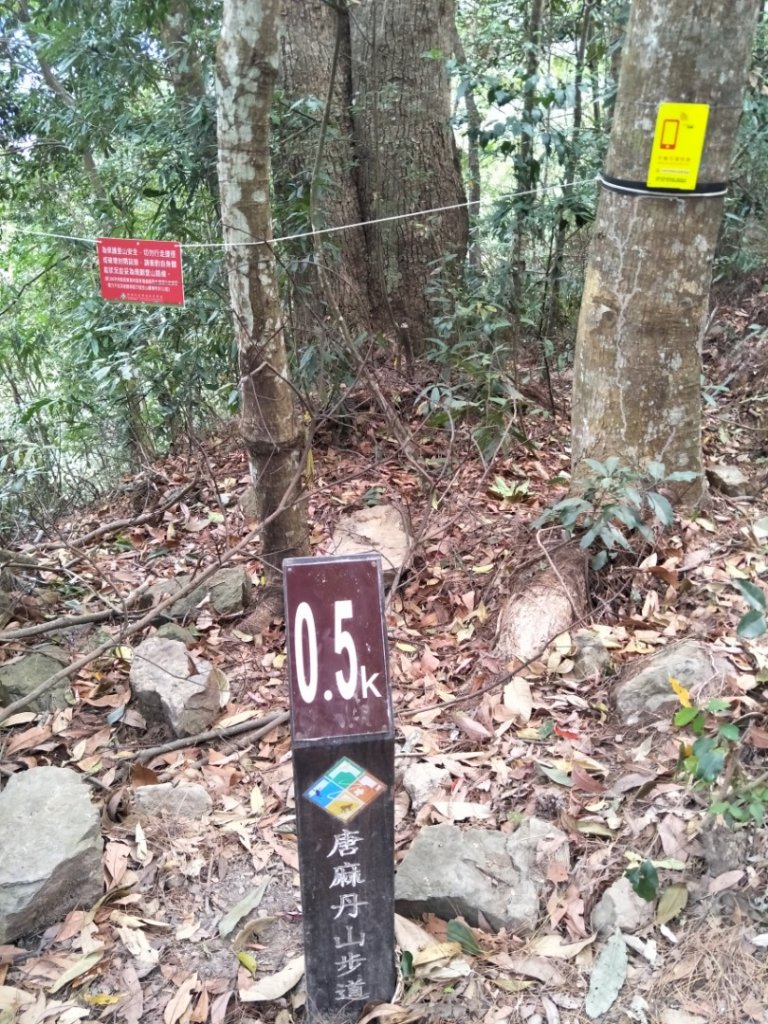 谷關七雄唐麻丹山（7）（裡冷登山口）_741144