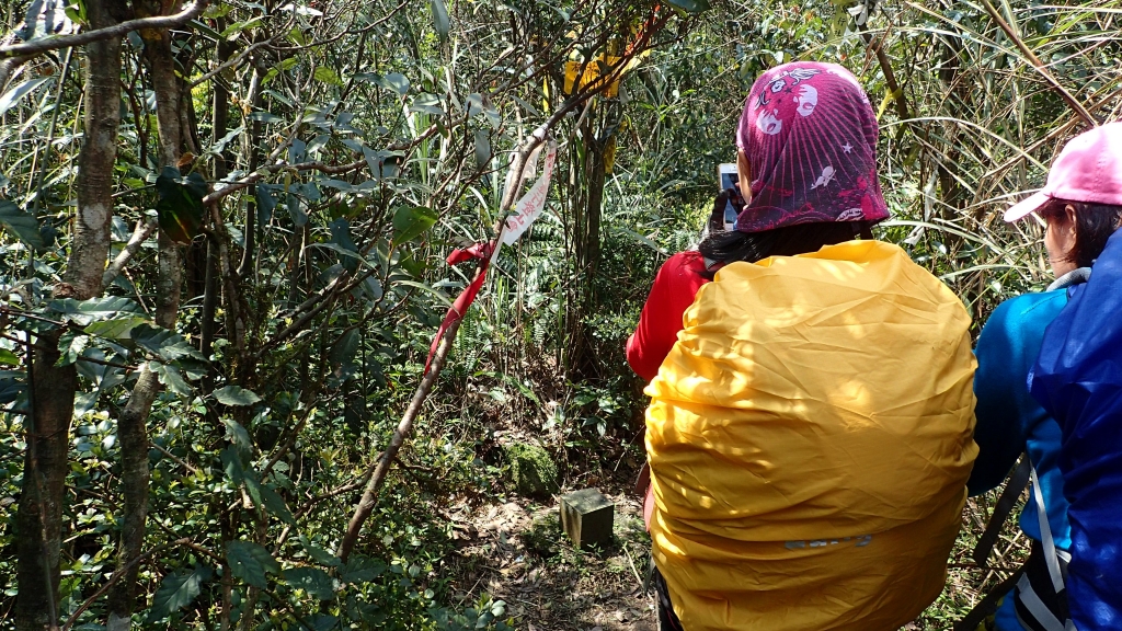 北部三大縱走之界寮大縱走_50210