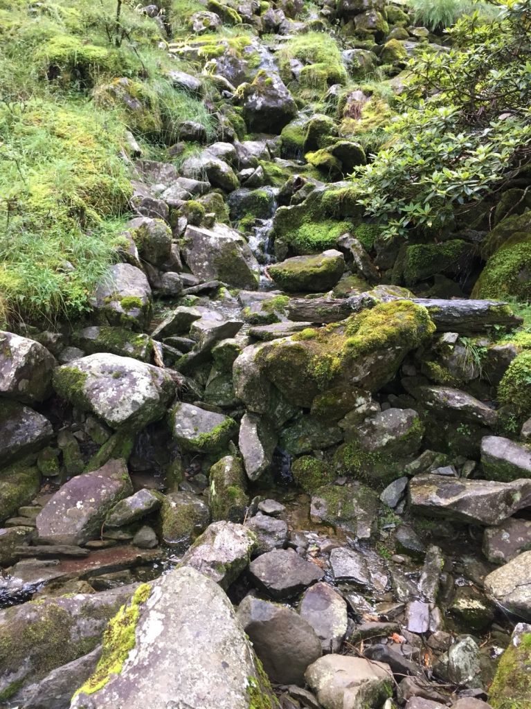 第九座百岳-雪山主峰_391689