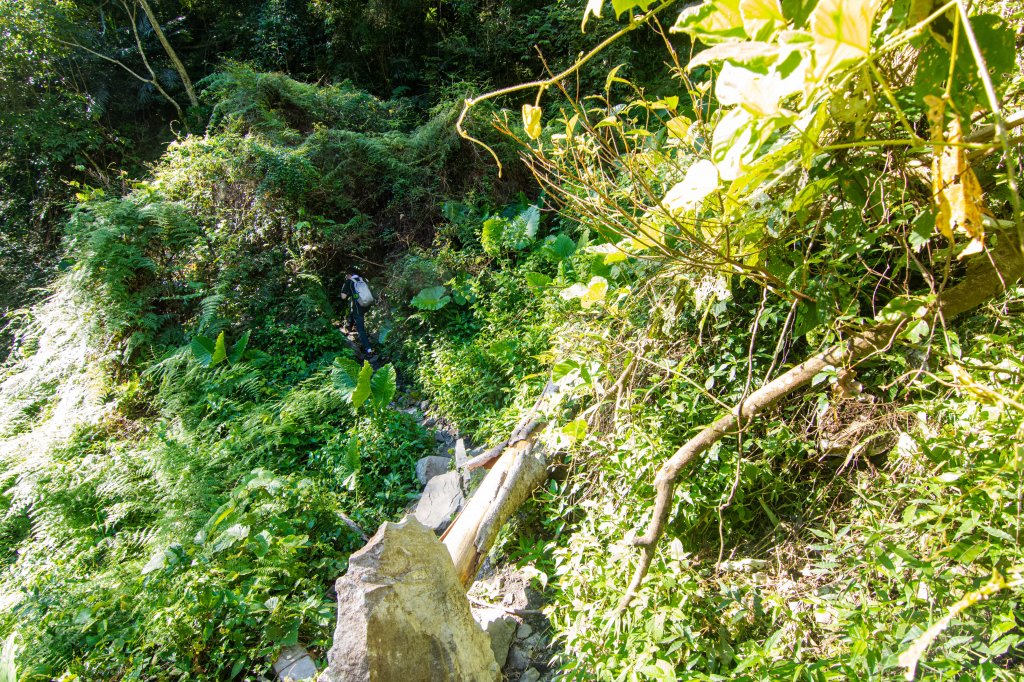 谷關七雄(老么)唐麻丹山/蝴蝶谷_1774252