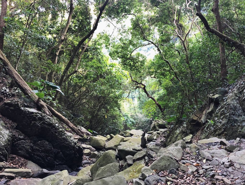 女仍山封面圖