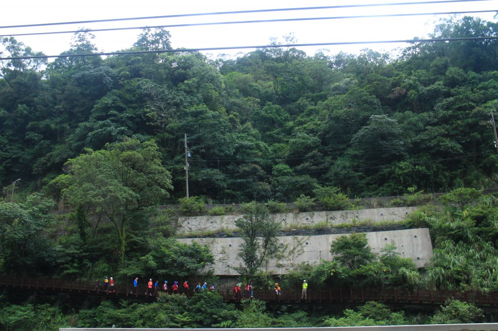 新北．三貂嶺友善生態隧道2023/08/08_2245846