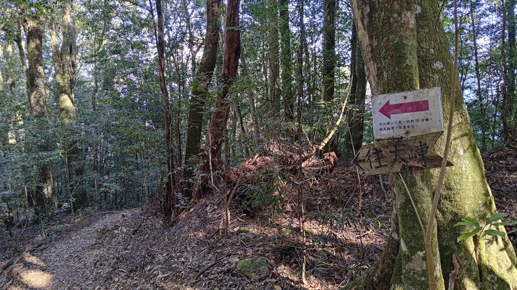 長壽山_2678053