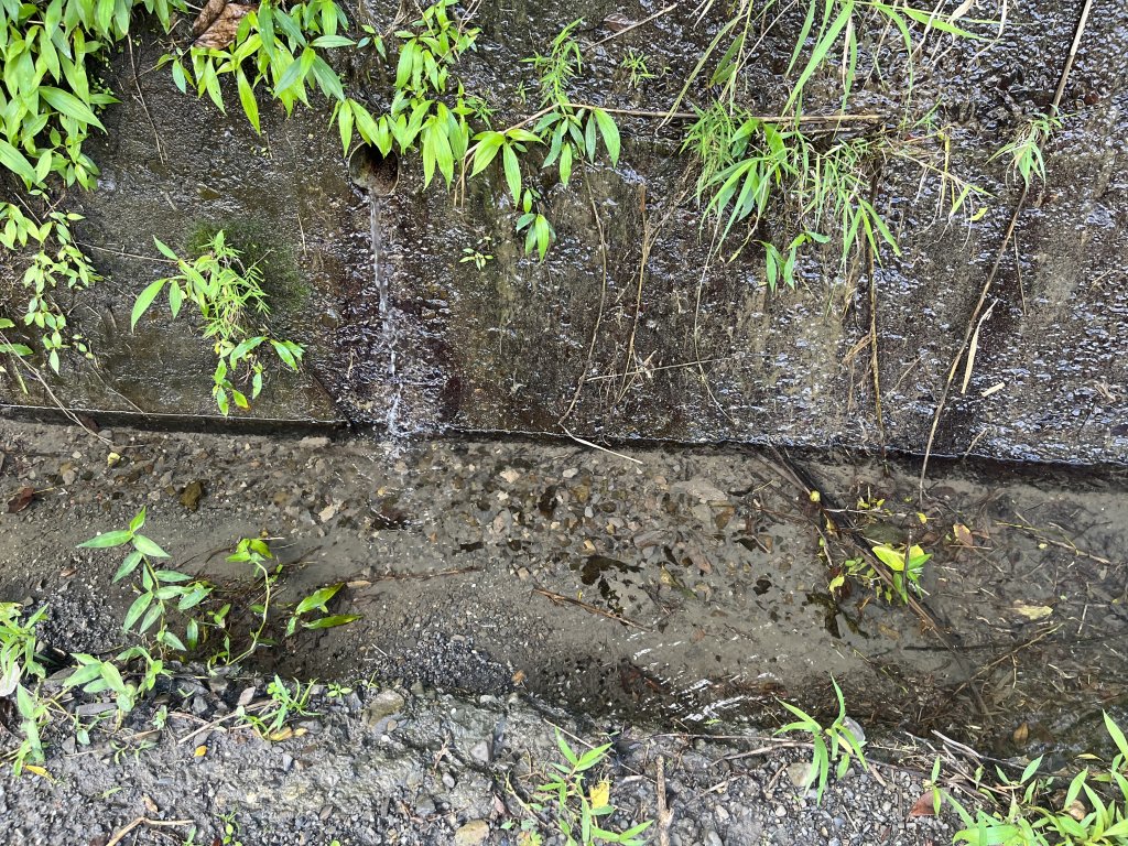 [屏步青雲 尋寶任務-03/10] 2024_0917 雙流國家森林遊樂區（瀑布步道）_2597744