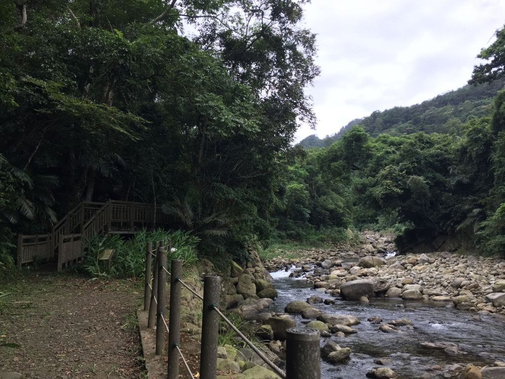 護魚步道親子漫遊_406011