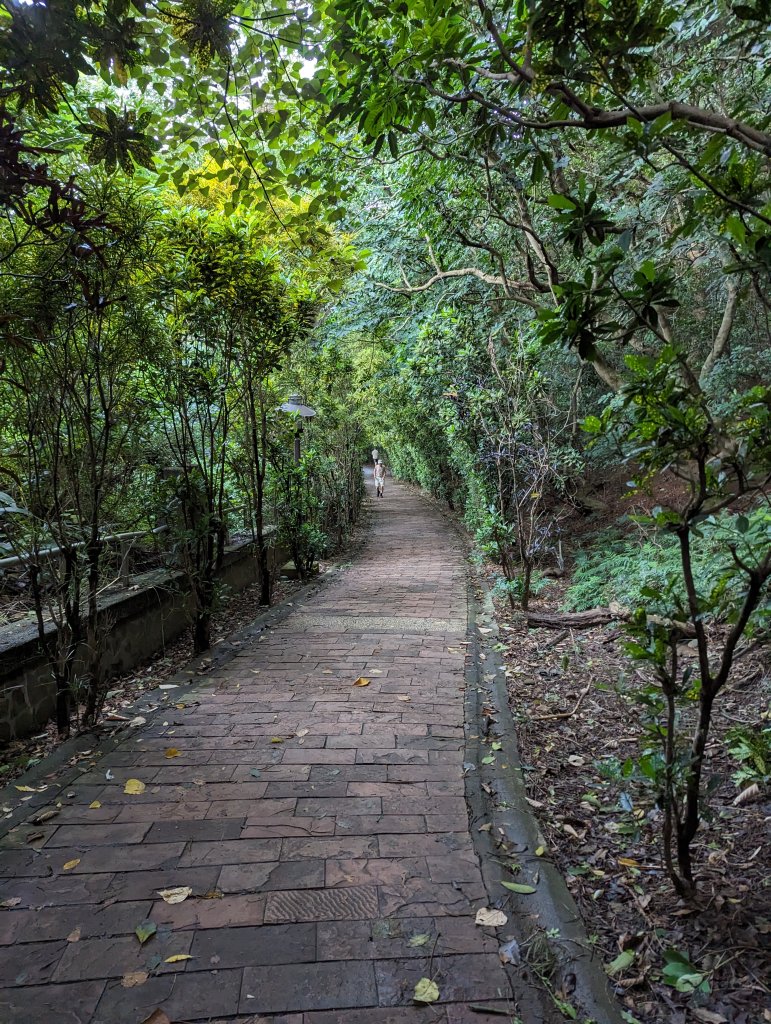 2023-09-08 十八尖山步道_2792890