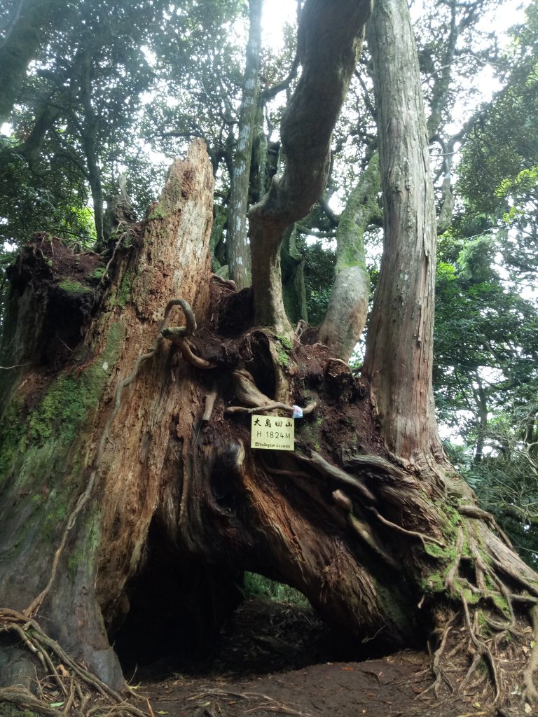 高島縱走封面圖